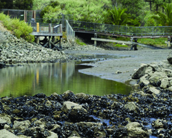 Salinas de San Pedro Saltmarsh