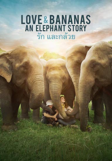 Love-Bananas An Elephant Story