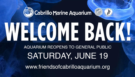 Cabrillo Marine Aquarium will officially reopen