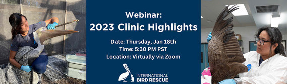 International Bird Rescue Zoom webinar looking back on 2023