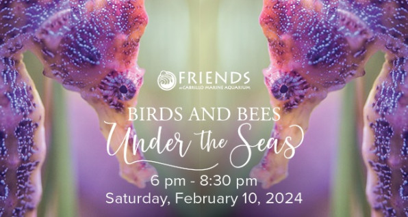 Flyer for Birds and Bees Under the Seas, Feb 10 2024