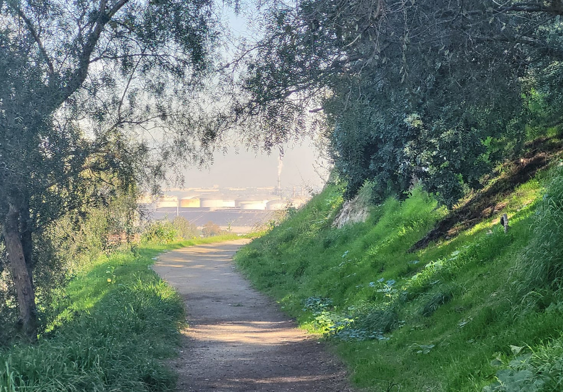 Peck Park Canyon Nature Walk