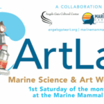 Art Projects at the Marine Mammal Care Center