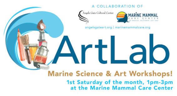 Art Projects at the Marine Mammal Care Center