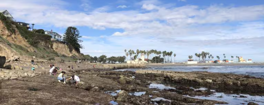 Aerial View of Tidepools at Cabrillo Beach