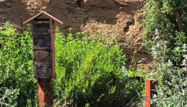 Learn Coastal Native Garden Restoration