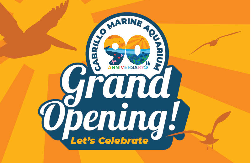 Grand Reopening at the Cabrillo Marine Aquarium